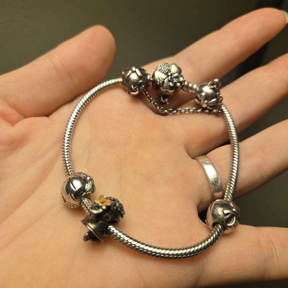 Pandora Charm Bracelet